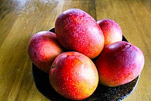 【2026年版】台湾マンゴーの旬・値段・選び方ガイド｜愛文マンゴーの食べごろの見極め方も 台湾マンゴー 台湾マンゴー直送 台湾マンゴーお取り寄せ 愛文マンゴー 完熟マンゴー 台湾フルーツ 台湾高級フルーツ 台湾産マンゴー 台湾アップルマンゴー マンゴー旬 台湾旅行 台湾観光 台北旅行台北観光