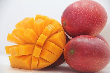 おいしいマンゴーを厳選！