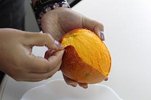 ランダムマンゴー