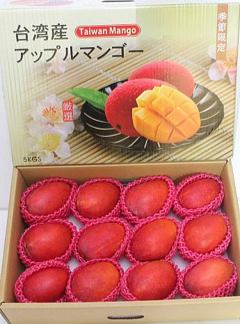 5㎏の愛文マンゴー