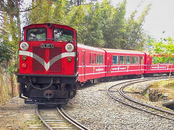 【台湾観光】「阿里山林業鐵路(阿里山林業鉄道)」に乗ってみた！予約の裏技から世界三大登山鉄道の魅力までレポート 阿里山 阿里山森林鉄路 世界三大登山鉄道 日本統治時代 歴史 奮起湖 車窓 スイッチバック式巨木