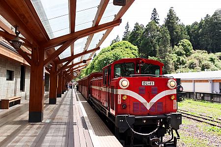 【台湾観光】「阿里山林業鐵路(阿里山林業鉄道)」に乗ってみた！予約の裏技から世界三大登山鉄道の魅力までレポート 阿里山 阿里山森林鉄路 世界三大登山鉄道 日本統治時代 歴史 奮起湖 車窓 スイッチバック式巨木