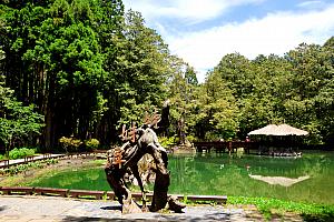 マイナスイオンを一生分チャージできそうな「阿里山國家森林遊樂區」