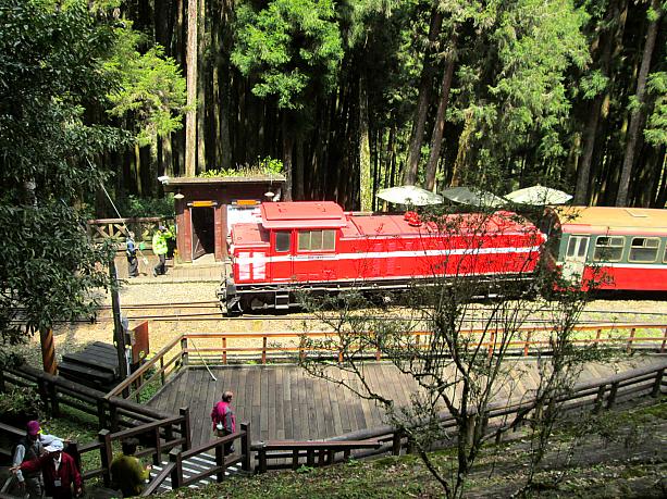 【台湾観光】「阿里山林業鐵路(阿里山林業鉄道)」に乗ってみた！予約の裏技から世界三大登山鉄道の魅力までレポート 阿里山 阿里山森林鉄路 世界三大登山鉄道 日本統治時代 歴史 奮起湖 車窓 スイッチバック式巨木