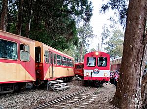 【台湾観光】「阿里山林業鐵路(阿里山林業鉄道)」に乗ってみた！予約の裏技から世界三大登山鉄道の魅力までレポート 阿里山 阿里山森林鉄路 世界三大登山鉄道 日本統治時代 歴史 奮起湖 車窓 スイッチバック式巨木