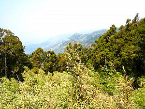 上手に撮影できていませんが、車窓はこんな感じ