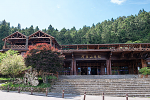 【台湾観光】「阿里山林業鐵路(阿里山林業鉄道)」に乗ってみた！予約の裏技から世界三大登山鉄道の魅力までレポート 阿里山 阿里山森林鉄路 世界三大登山鉄道 日本統治時代 歴史 奮起湖 車窓 スイッチバック式巨木