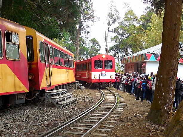 【台湾観光】「阿里山林業鐵路(阿里山林業鉄道)」に乗ってみた！予約の裏技から世界三大登山鉄道の魅力までレポート 阿里山 阿里山森林鉄路 世界三大登山鉄道 日本統治時代 歴史 奮起湖 車窓 スイッチバック式巨木
