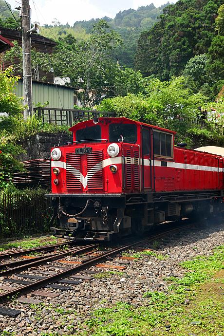 【台湾観光】「阿里山林業鐵路(阿里山林業鉄道)」に乗ってみた！予約の裏技から世界三大登山鉄道の魅力までレポート 阿里山 阿里山森林鉄路 世界三大登山鉄道 日本統治時代 歴史 奮起湖 車窓 スイッチバック式巨木