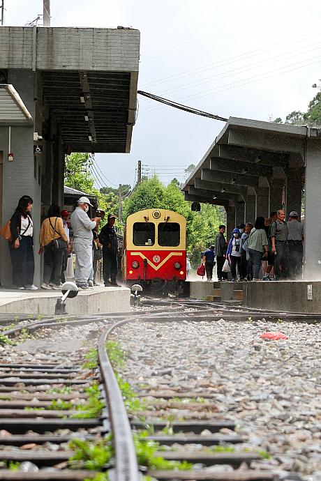 【台湾観光】「阿里山林業鐵路(阿里山林業鉄道)」に乗ってみた！予約の裏技から世界三大登山鉄道の魅力までレポート 阿里山 阿里山森林鉄路 世界三大登山鉄道 日本統治時代 歴史 奮起湖 車窓 スイッチバック式巨木