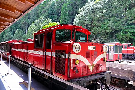 【台湾観光】「阿里山林業鐵路(阿里山林業鉄道)」に乗ってみた！予約の裏技から世界三大登山鉄道の魅力までレポート 阿里山 阿里山森林鉄路 世界三大登山鉄道 日本統治時代 歴史 奮起湖 車窓 スイッチバック式巨木