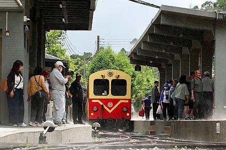 【台湾観光】「阿里山林業鐵路(阿里山林業鉄道)」に乗ってみた！予約の裏技から世界三大登山鉄道の魅力までレポート 阿里山 阿里山森林鉄路 世界三大登山鉄道 日本統治時代 歴史 奮起湖 車窓 スイッチバック式巨木