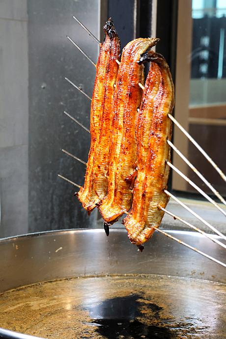 昭和7年、うなぎの卸から始まったという名古屋発の「うなぎ四代目菊かわ」は、ご存じの方も多いはず。台湾では2023年の出店以来、日本と変わらぬ味とサービスが堪能できると多くのファンの心を掴んでいます。