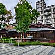 その中で最も大切にしたのは日本の美学ともいえる「間」。「空間・時間・間隔のゆとり」を大切にする考え方で何もない空白や余白にこそ美しさや意味があるという思想です。そのおかげか、ここを訪れると時間がゆったりと過ぎていてリラックスできる気がします。