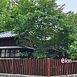 0km 山物所