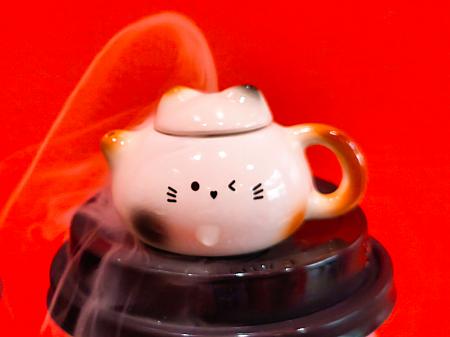 これまでミニ茶壷以外にも、クリスマスにはサンタ犬のホイップトッピングやハロウィンにはジャックオランタンを模ったボトルドリンクなどが登場しています。行くたびに楽しめそう♪