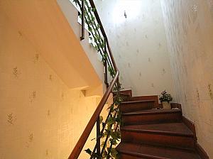 スパ内の階段。ツルがからまる演出