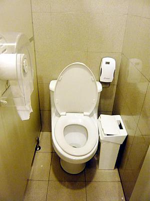 高級ホテルや観光地の休憩所などのトイレは清潔で問題なく使えます。