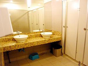 高級ホテルや観光地の休憩所などのトイレは清潔で問題なく使えます。