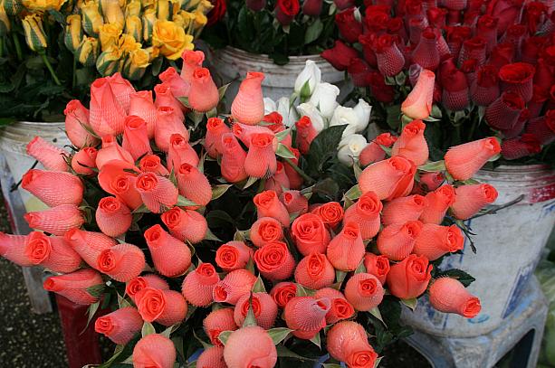 両手いっぱいの薔薇の花束も、この国では夢じゃないかも…。