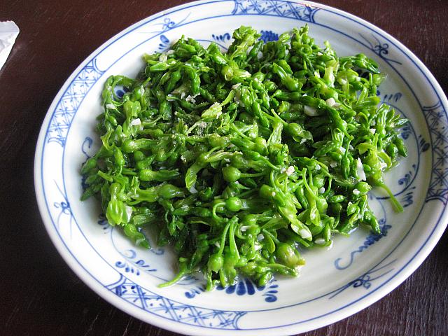 大人気のベトナム料理屋さん ベトナムナビ