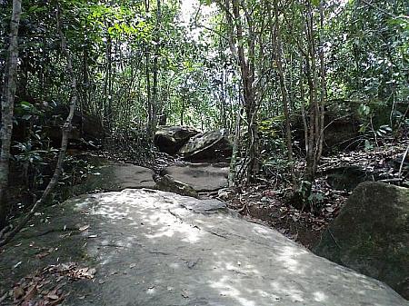 フーコック島の二大渓流を歩こう フーコック島 ダバンチャン