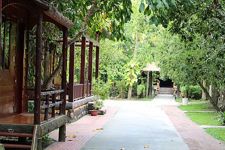ベトナム全国大自然を体験できる観光エリアを紹介！自然エリア