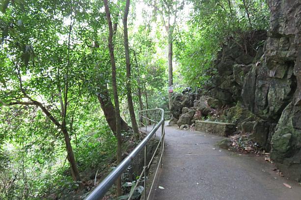 洞窟の入り口は山の道中にあります