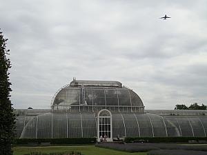 キューガーデン[ロイヤル・ボタニカル・ガーデン、キュー] | ロンドンナビ