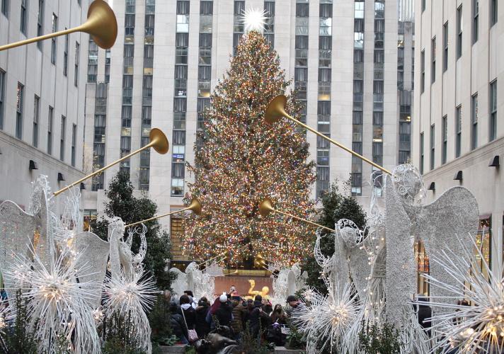 Amazon.co.jp: ステラ・ルー クリスマスツリー ぬいぐるみ