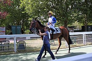 洋書 フランス語 馬 販売情報 Deauville 競馬 ドーヴィル 2002 洋書 フランス語 馬 販売情報 Deauville 競馬 ドーヴィル 2002
