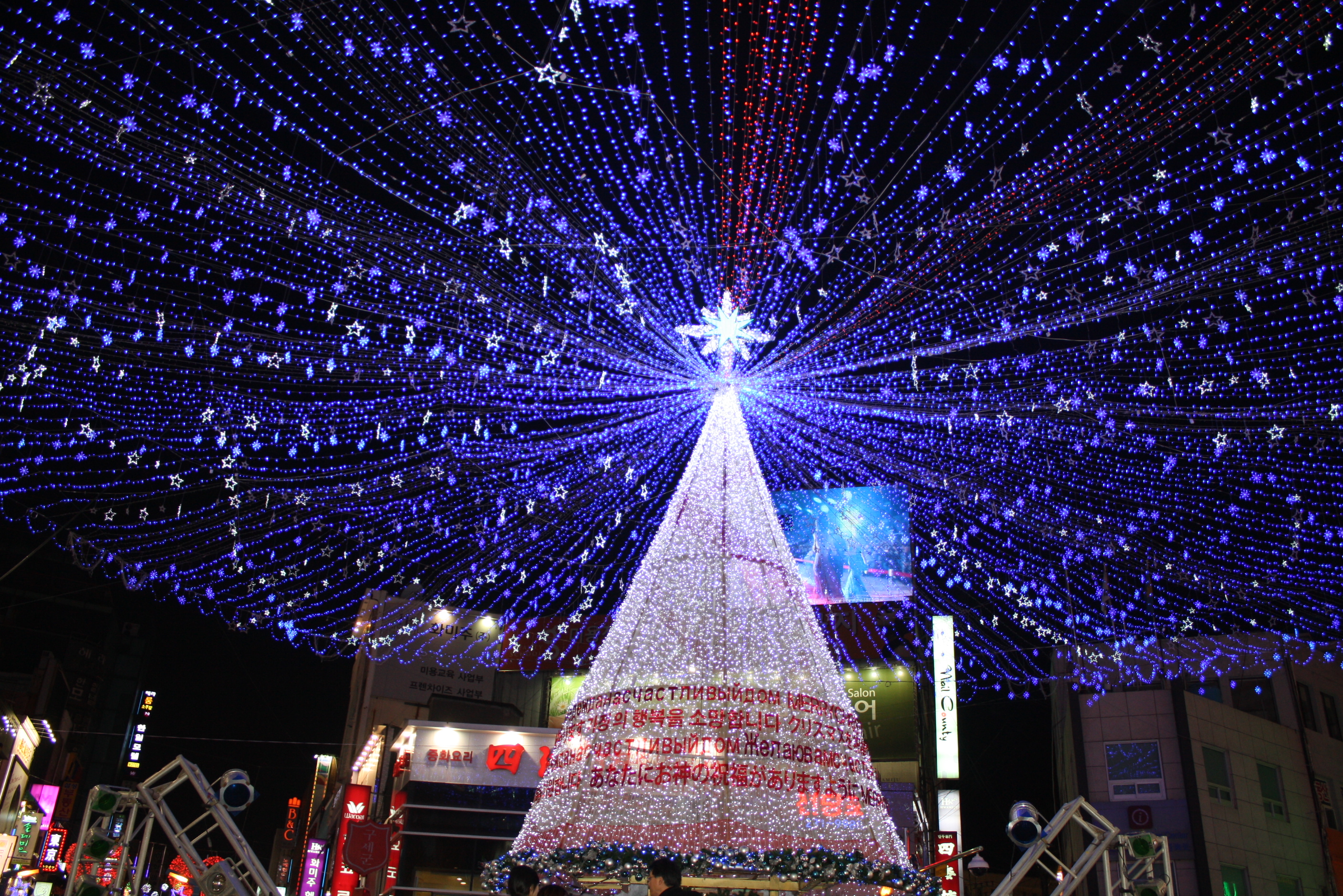 釜山のクリスマスイルミネーション 写真でみる第4回釜山クリスマスツリー文化祭り プサンナビ