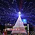 釜山のクリスマスイルミネーション～写真でみる第4回釜山クリスマスツリー文化祭り