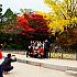 写真で見る慶州の紅葉！【２０１４年】