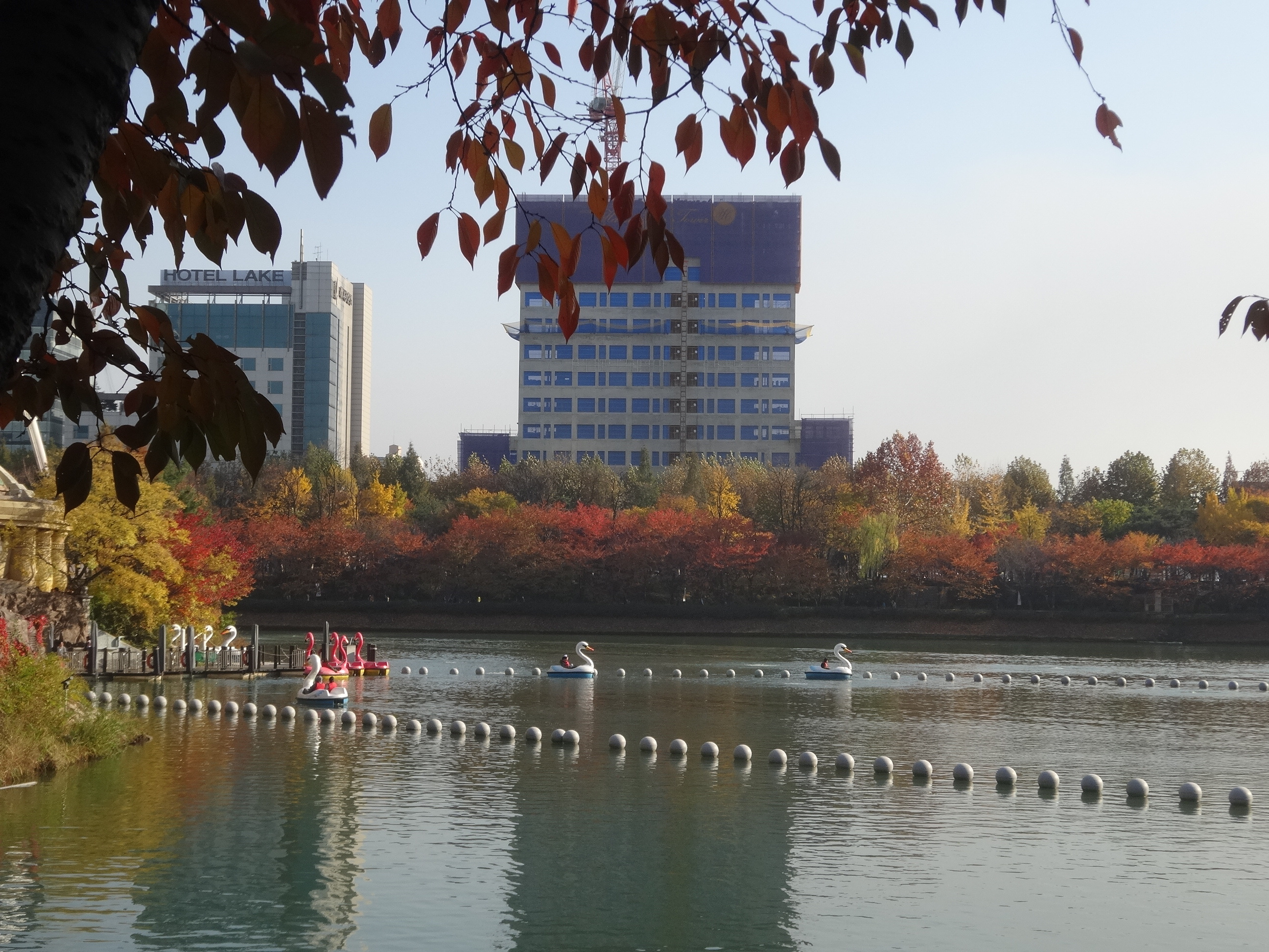 プチ風景 ロッテワールド 石村湖の周りの紅葉２０１４ ソウルナビ