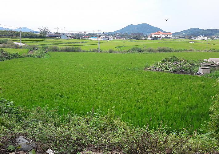 田舎の風景にほっこり ソウルナビ