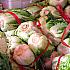 キムジャン（キムチ漬け）の季節がやってきました！！市場には白菜や大根が山積みされて売られています。 -南大門市場