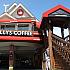 HOLLY`S COFFEE ／ ホリーズ・コーヒー　釜山タルマジ店