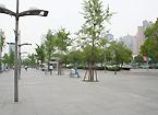 出口すぐの場所にある道（世紀大通）を左方向に向かって歩きます。