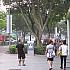 シンガポールのヘイズ（煙害）による大気汚染について
