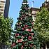 「ザ・真夏のクリスマス」12月のシドニー