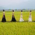 記念すべき10年目を迎えた「池上秋收稻穗藝術節」で台湾が世界に誇るダンスを見た！