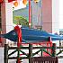 【台湾パワースポット】台湾でココだけ！カジキを祀る「成功萬善廟」は台湾東海岸の成功漁港にあり